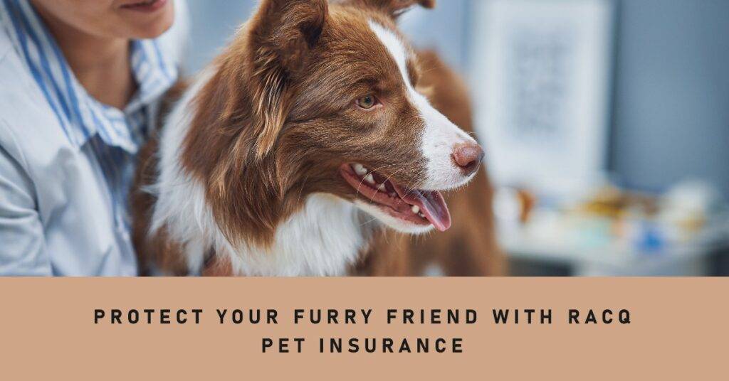 What Does RACQ Pet Insurance Cover